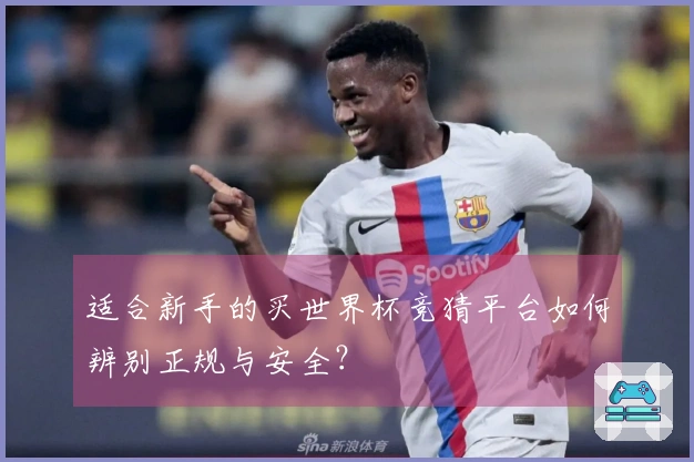 适合新手的买世界杯竞猜平台如何辨别正规与安全？