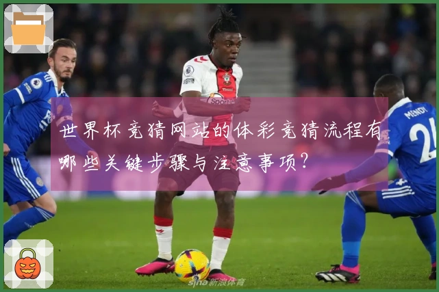 世界杯竞猜网站的体彩竞猜流程有哪些关键步骤与注意事项？